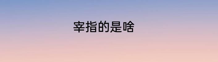 宰指的是啥