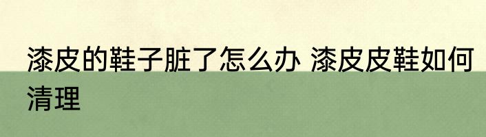 漆皮的鞋子脏了怎么办 漆皮皮鞋如何清理