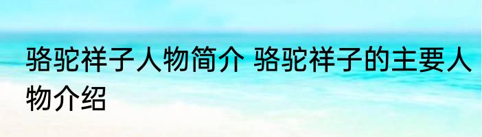 骆驼祥子人物简介 骆驼祥子的主要人物介绍