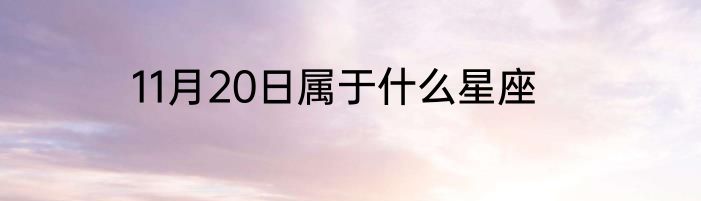 11月20日属于什么星座