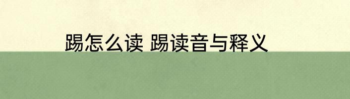 踢怎么读 踢读音与释义