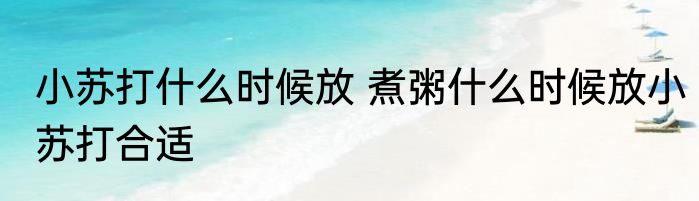 小苏打什么时候放 煮粥什么时候放小苏打合适