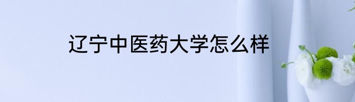 辽宁中医药大学怎么样