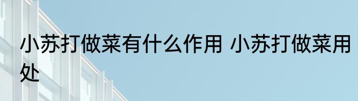 小苏打做菜有什么作用 小苏打做菜用处