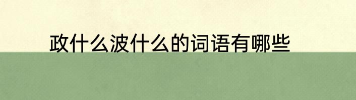 政什么波什么的词语有哪些