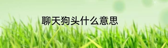 聊天狗头什么意思