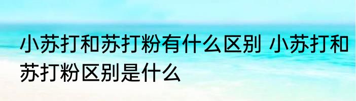 小苏打和苏打粉有什么区别 小苏打和苏打粉区别是什么