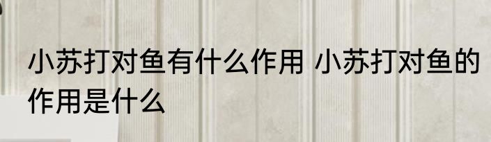 小苏打对鱼有什么作用 小苏打对鱼的作用是什么