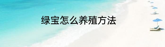 绿宝怎么养殖方法