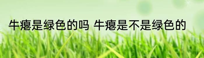 牛瘪是绿色的吗 牛瘪是不是绿色的