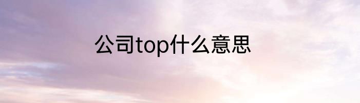 公司top什么意思