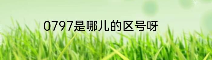 0797是哪儿的区号呀