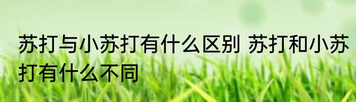 苏打与小苏打有什么区别 苏打和小苏打有什么不同