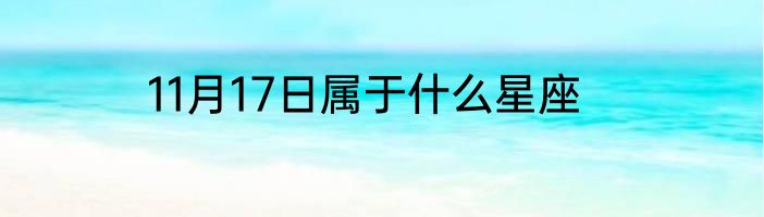 11月17日属于什么星座
