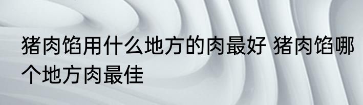 猪肉馅用什么地方的肉最好 猪肉馅哪个地方肉最佳