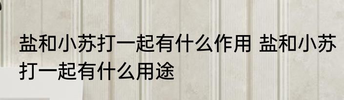 盐和小苏打一起有什么作用 盐和小苏打一起有什么用途