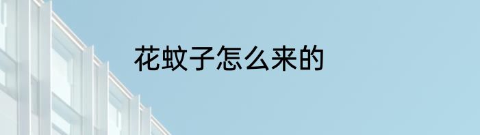 花蚊子怎么来的