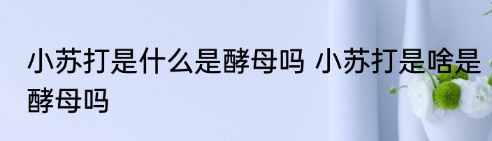 甜辣子煮几分钟熟 甜辣子煮多久会熟