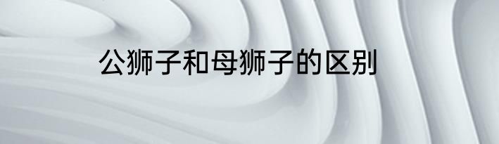 公狮子和母狮子的区别