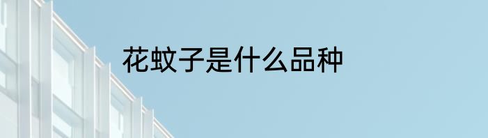 花蚊子是什么品种