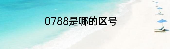 0788是哪的区号