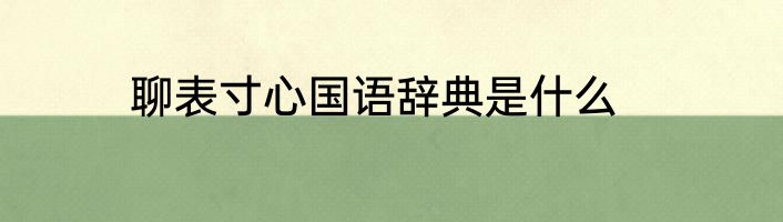 聊表寸心国语辞典是什么