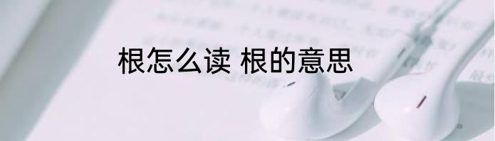 根怎么读 根的意思