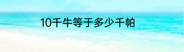 10千牛等于多少千帕