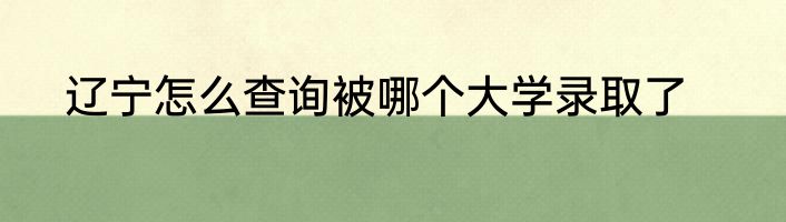 辽宁怎么查询被哪个大学录取了