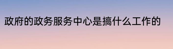 政府的政务服务中心是搞什么工作的