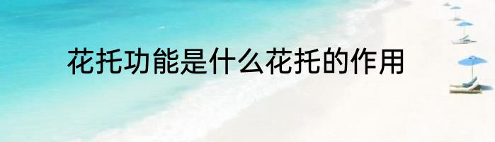 花托功能是什么花托的作用