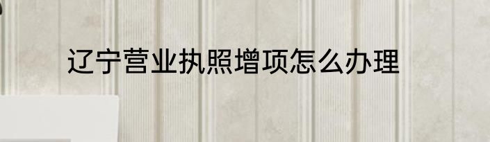 辽宁营业执照增项怎么办理