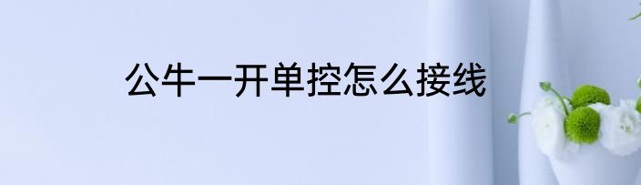 公牛一开单控怎么接线