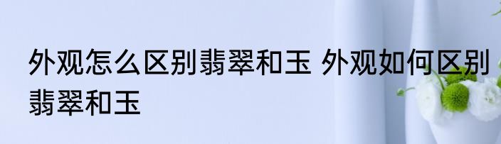 外观怎么区别翡翠和玉 外观如何区别翡翠和玉