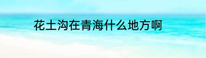 花土沟在青海什么地方啊