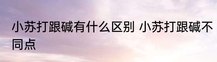 小苏打跟碱有什么区别 小苏打跟碱不同点