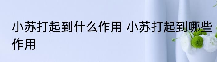 小苏打起到什么作用 小苏打起到哪些作用