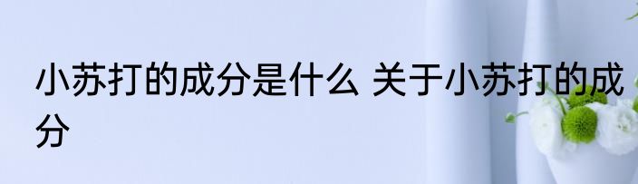 小苏打的成分是什么 关于小苏打的成分