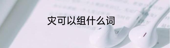 灾可以组什么词
