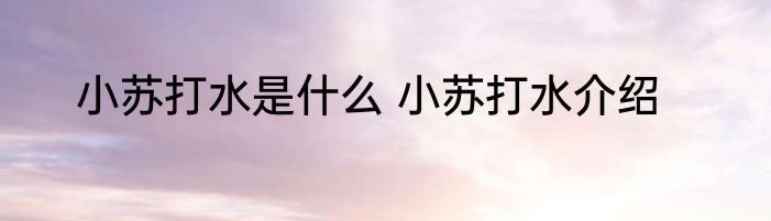 小苏打水是什么 小苏打水介绍
