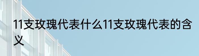11支玫瑰代表什么11支玫瑰代表的含义