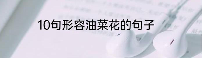 10句形容油菜花的句子