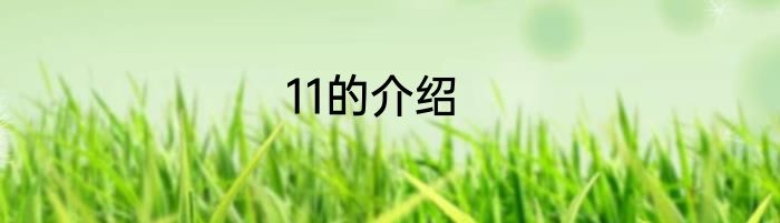 11的介绍