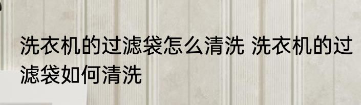 洗衣机的过滤袋怎么清洗 洗衣机的过滤袋如何清洗