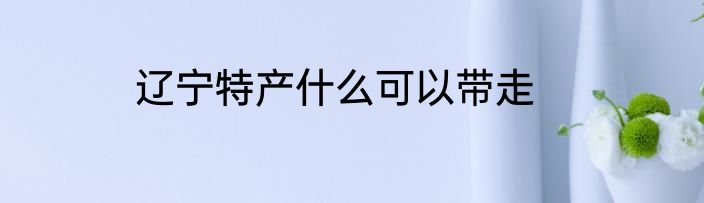 辽宁特产什么可以带走