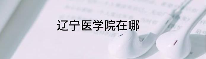 辽宁医学院在哪