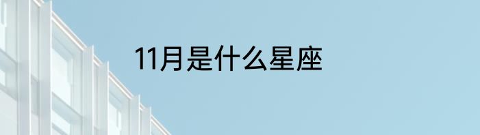 11月是什么星座
