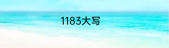 1183大写