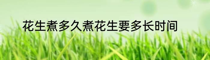 花生煮多久煮花生要多长时间
