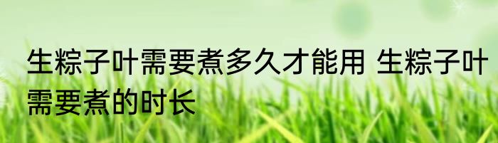 生粽子叶需要煮多久才能用 生粽子叶需要煮的时长
